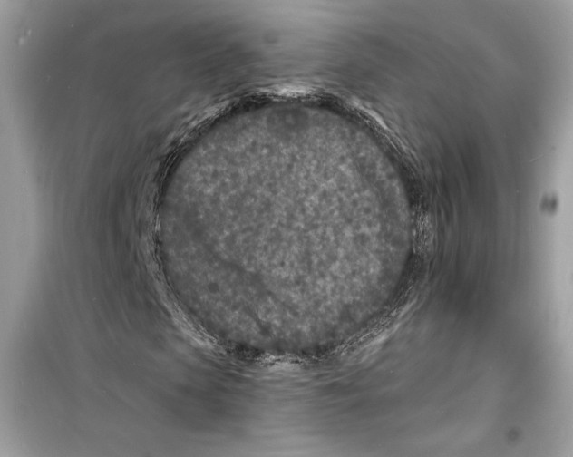 X0000098180913200805221534