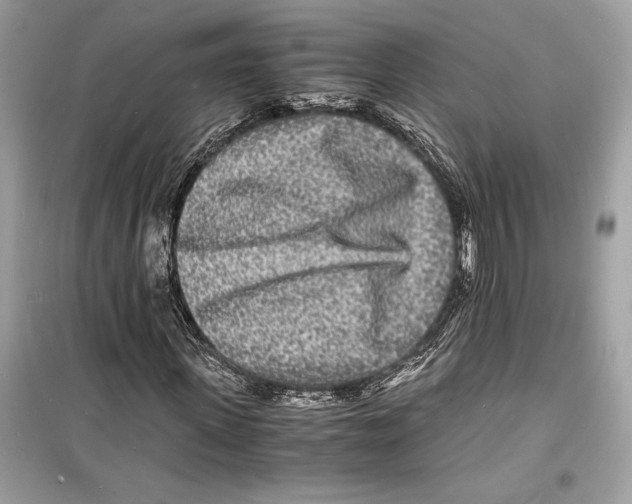 X0000098180915200805221534