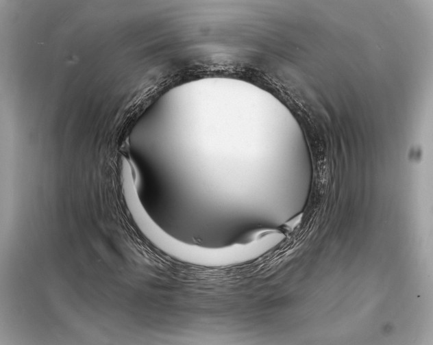 X0000098180916200805221534