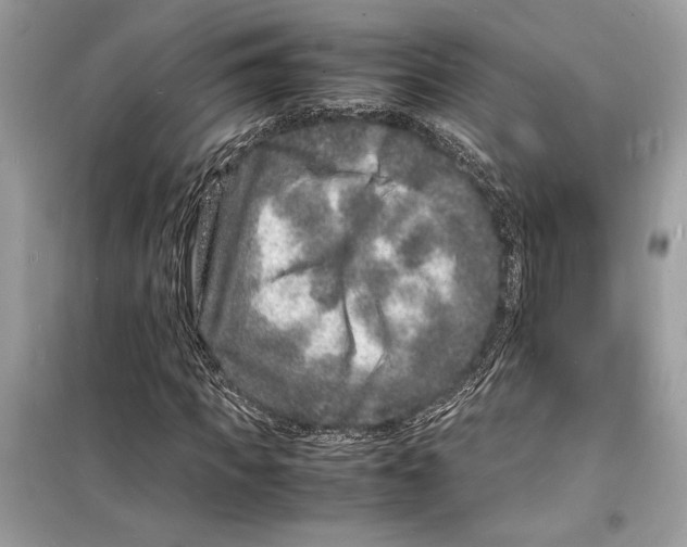 X0000098180917200805221534