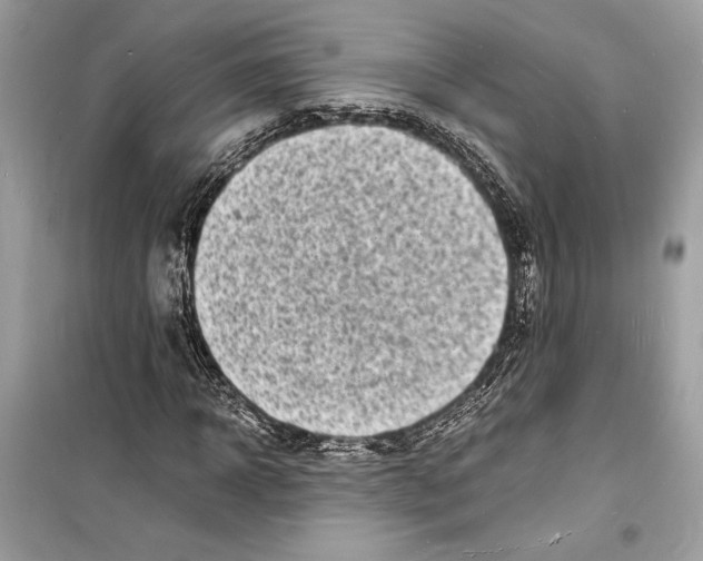 X0000098180918200805221534