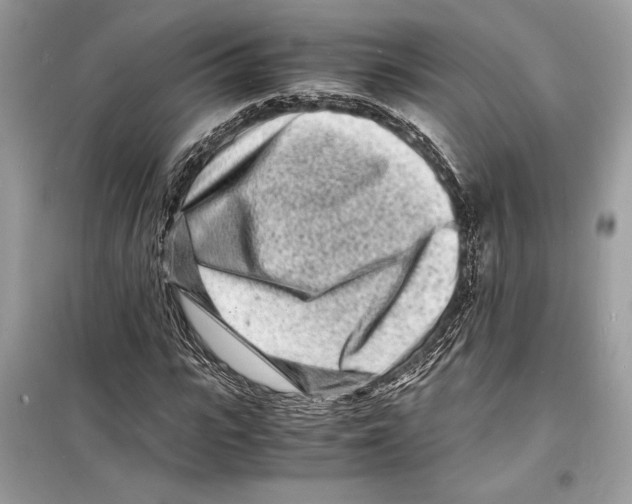 X0000098180919200805221534