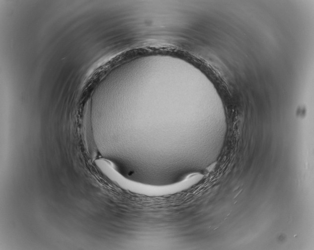 X0000098180920200805221534