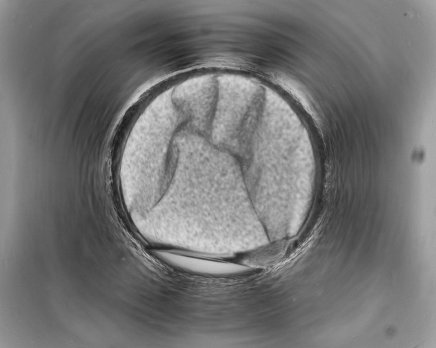 X0000098180923200805221534