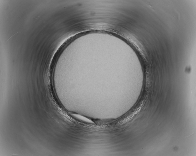 X0000098180924200805221534