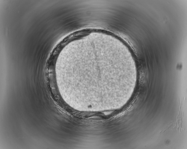 X0000098180926200805221534