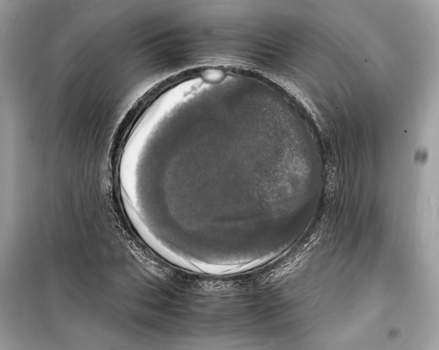 X0000098180927200805221534