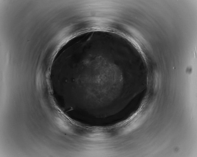 X0000098180930200805221534