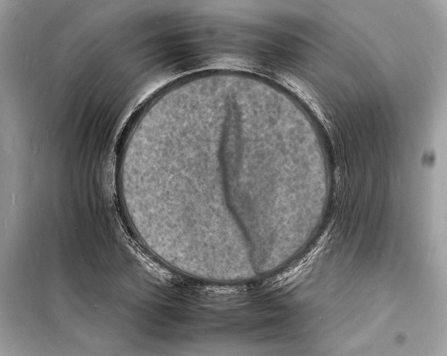 X0000098180931200805221534