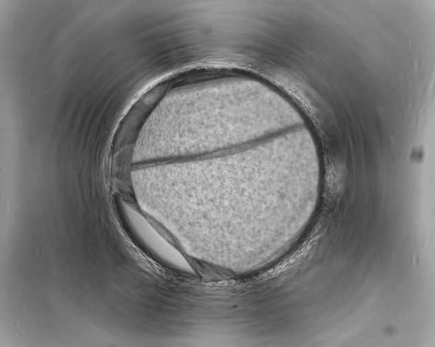 X0000098180934200805221534