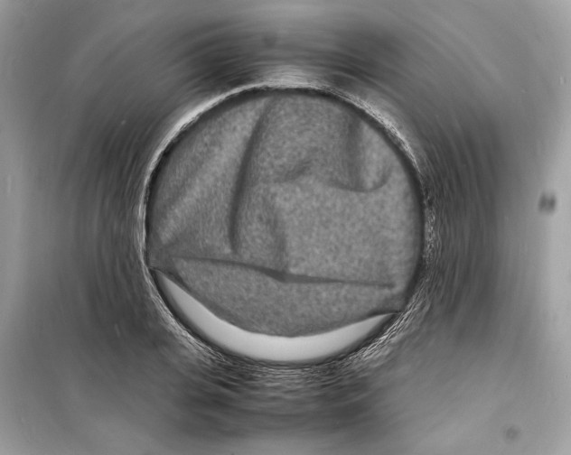 X0000098180935200805221534