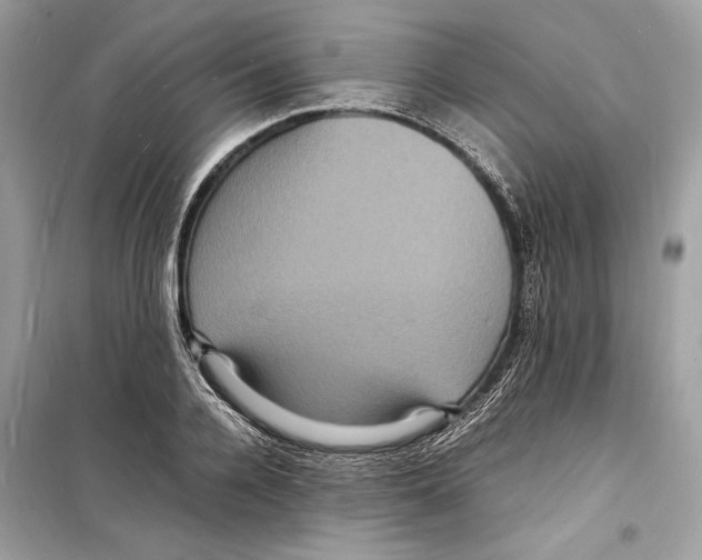 X0000098180936200805221534