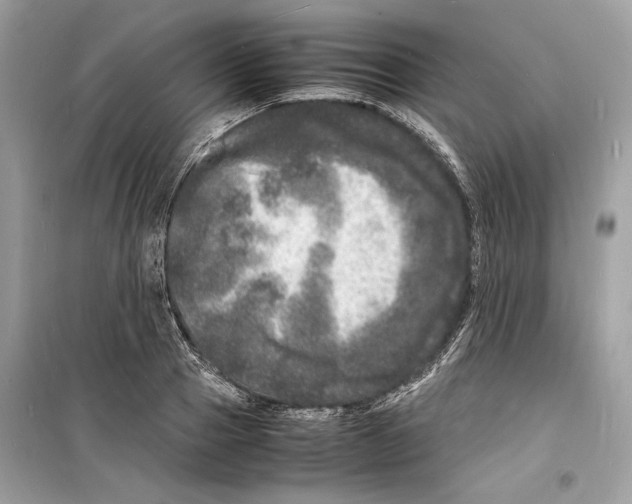 X0000098180937200805221534