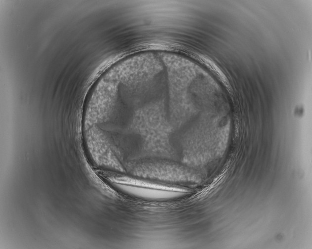 X0000098180938200805221534