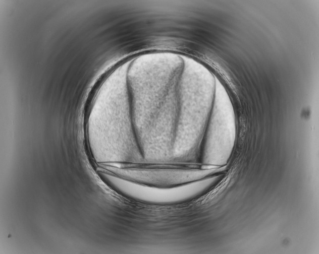 X0000098180939200805221534