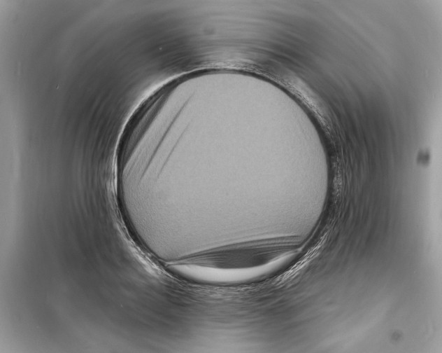 X0000098180940200805221534