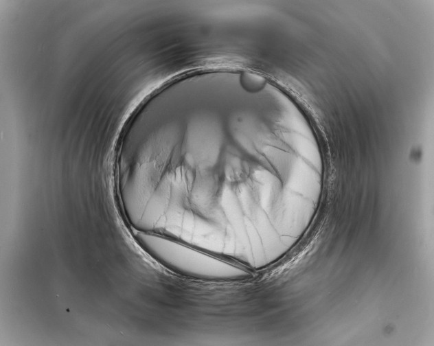 X0000098180941200805221534