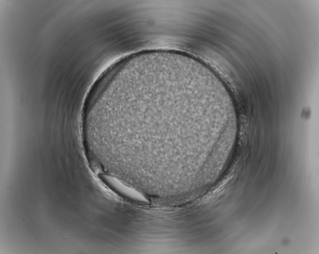 X0000098180942200805221534