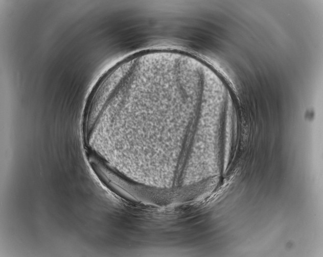 X0000098180943200805221534