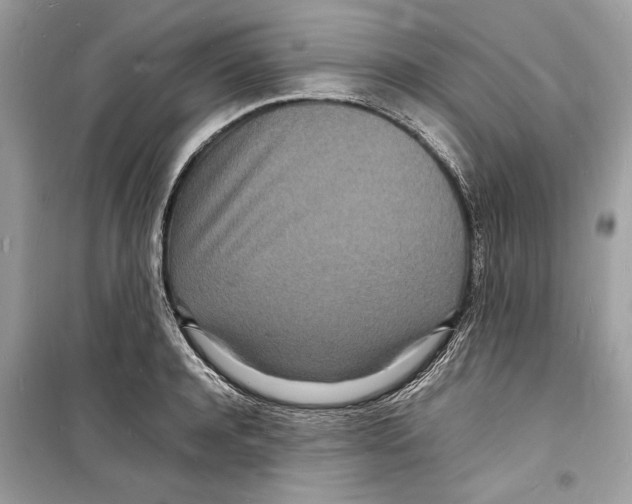 X0000098180944200805221534