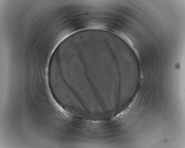 X0000098180947200805221534