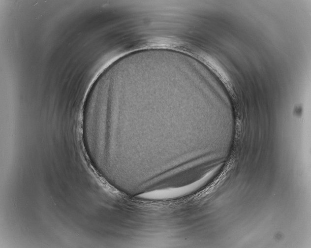 X0000098180948200805221534