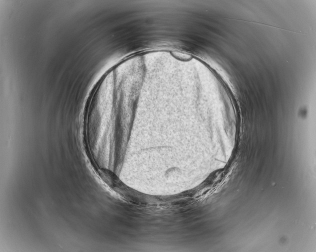 X0000098180949200805221534