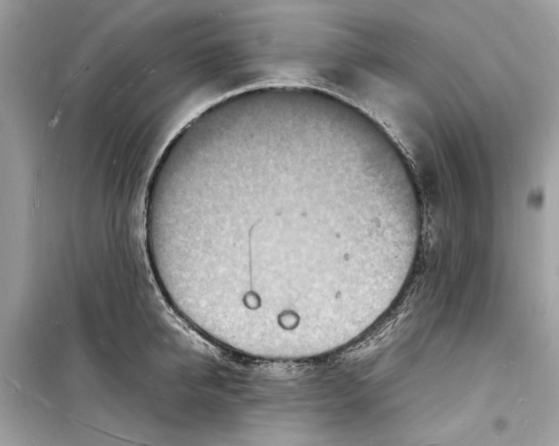 X0000098180950200805221534