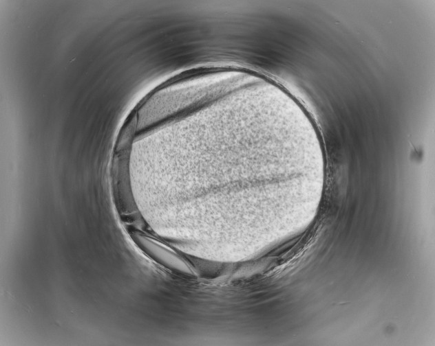 X0000098180951200805221534