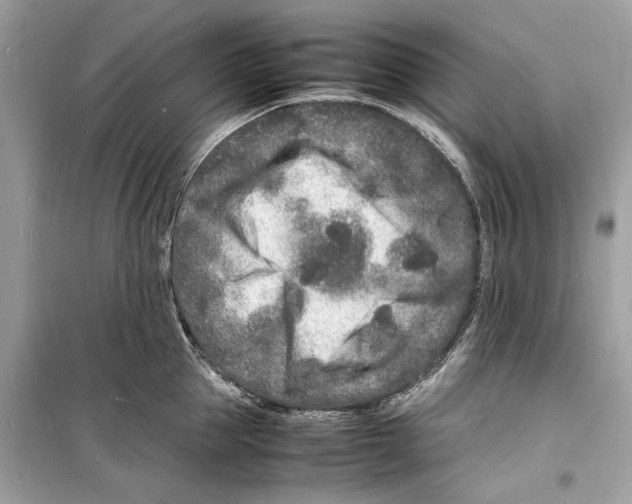 X0000098180953200805221534