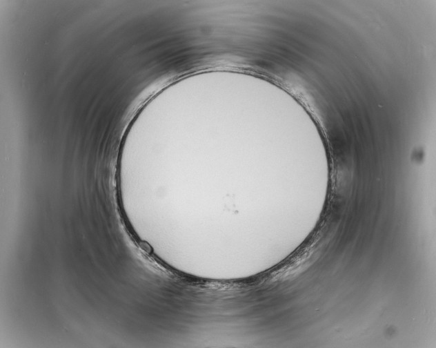 X0000098180954200805221534