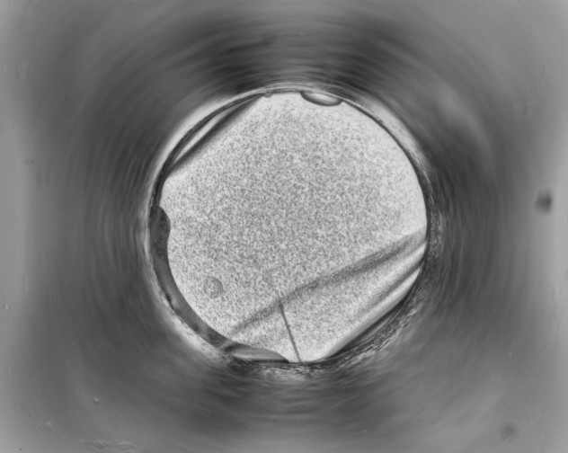 X0000098180955200805221534