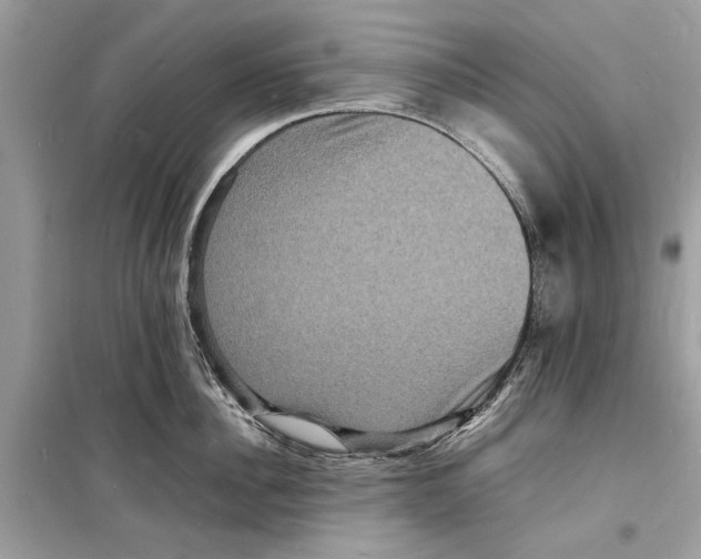 X0000098180956200805221534