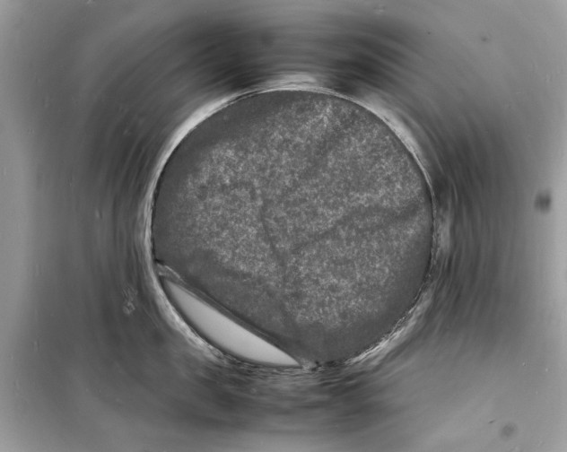 X0000098180957200805221534