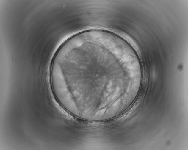 X0000098180958200805221534