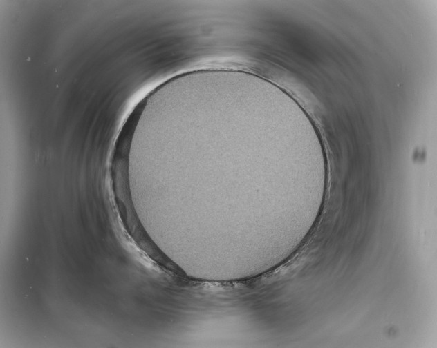 X0000098180960200805221534