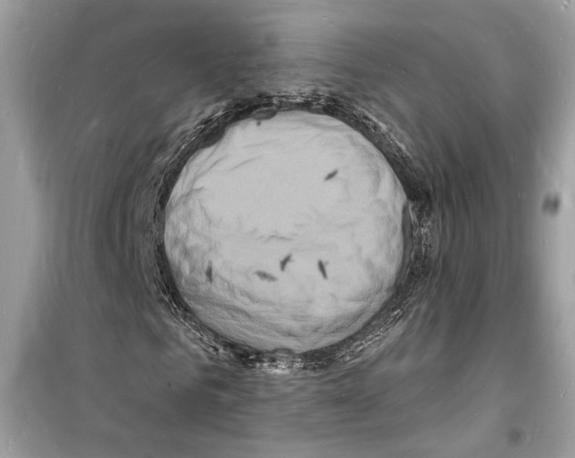 X0000098180961200805221534