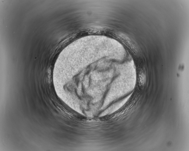 X0000098180964200805221534