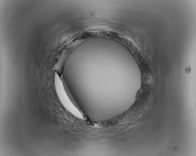 X0000098180965200805221534