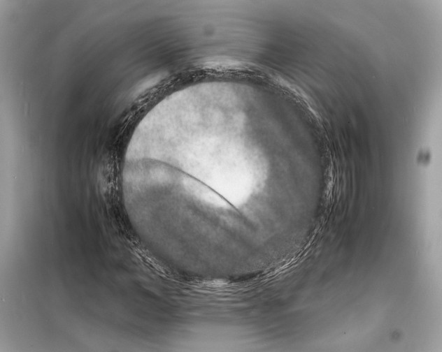 X0000098180966200805221534