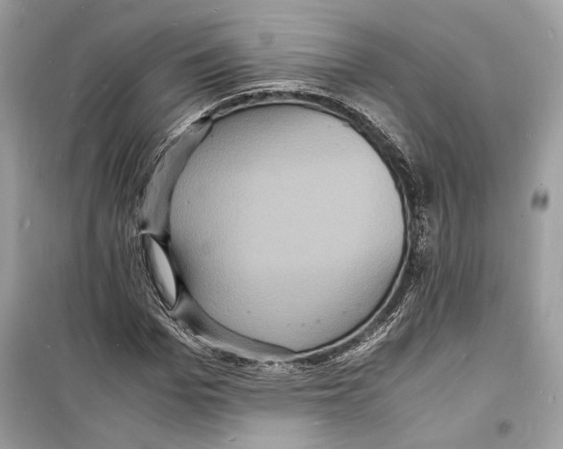 X0000098180969200805221534