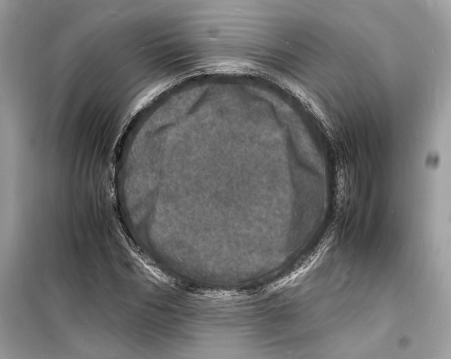 X0000098180970200805221534