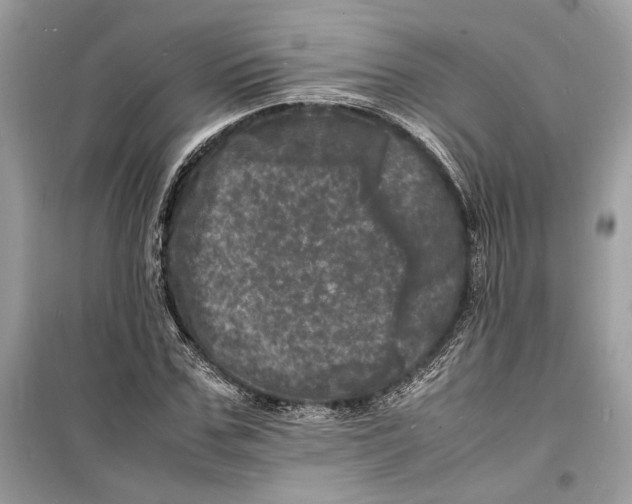 X0000098180971200805221534