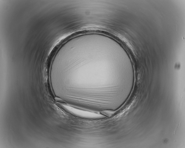 X0000098180973200805221534