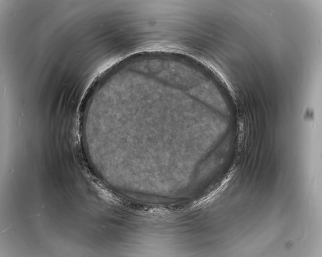 X0000098180974200805221534