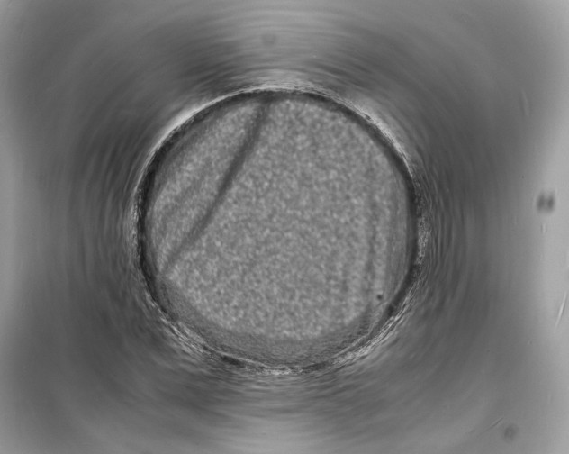 X0000098180975200805221534