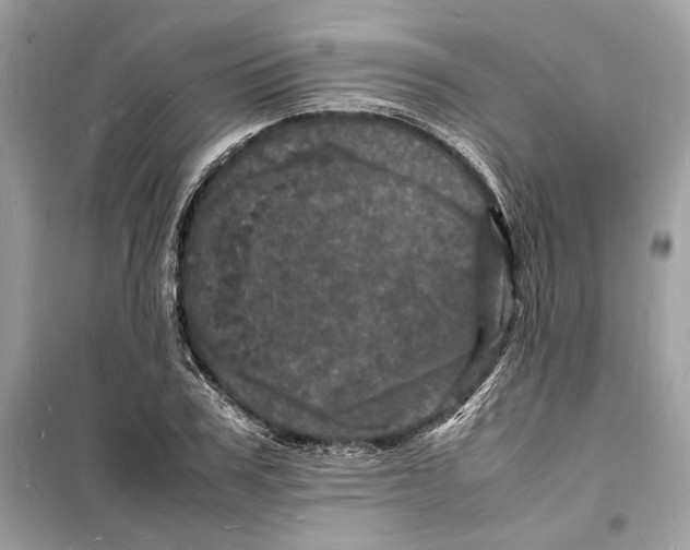 X0000098180979200805221534