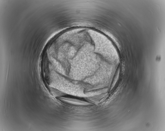 X0000098180983200805221534