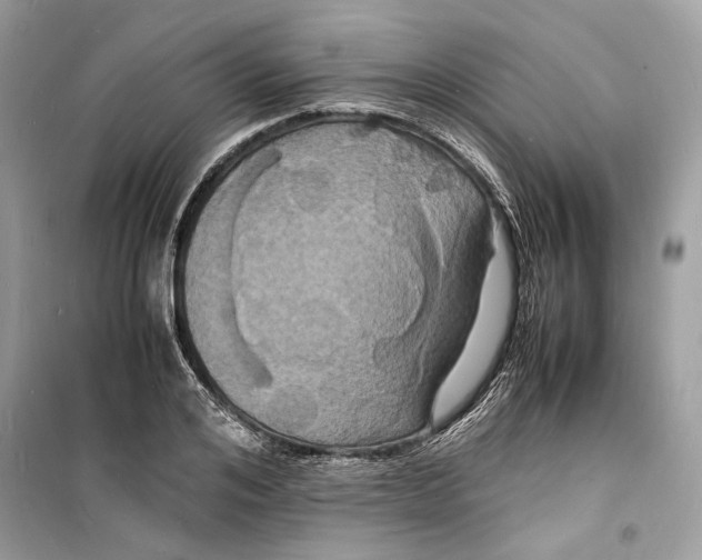 X0000098180984200805221533