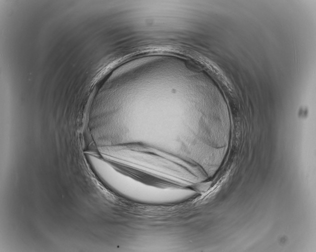 X0000098180985200805221533